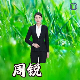 周锐